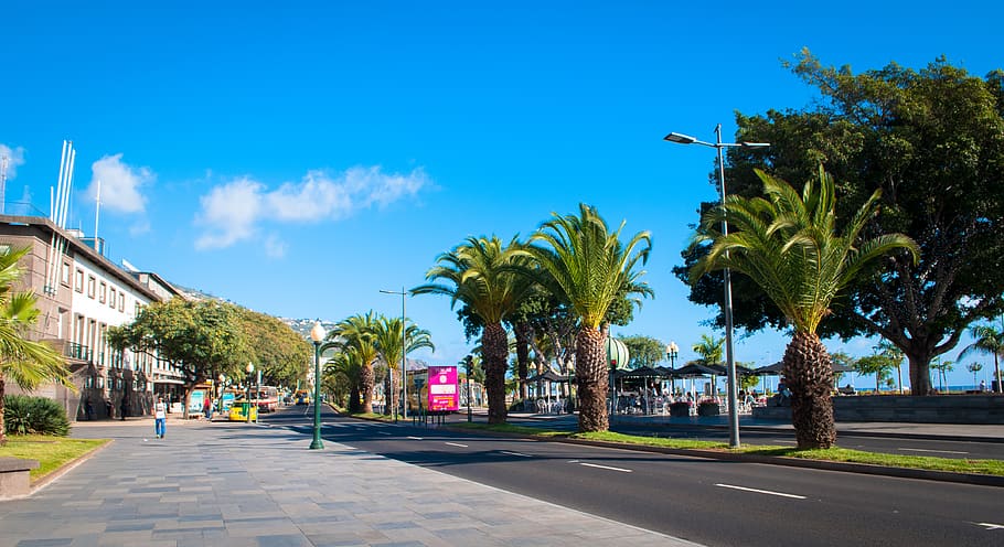 NEWS: Ilha da Madeira passa a aceitar turistas imunizados com qualquer tipo de vacina